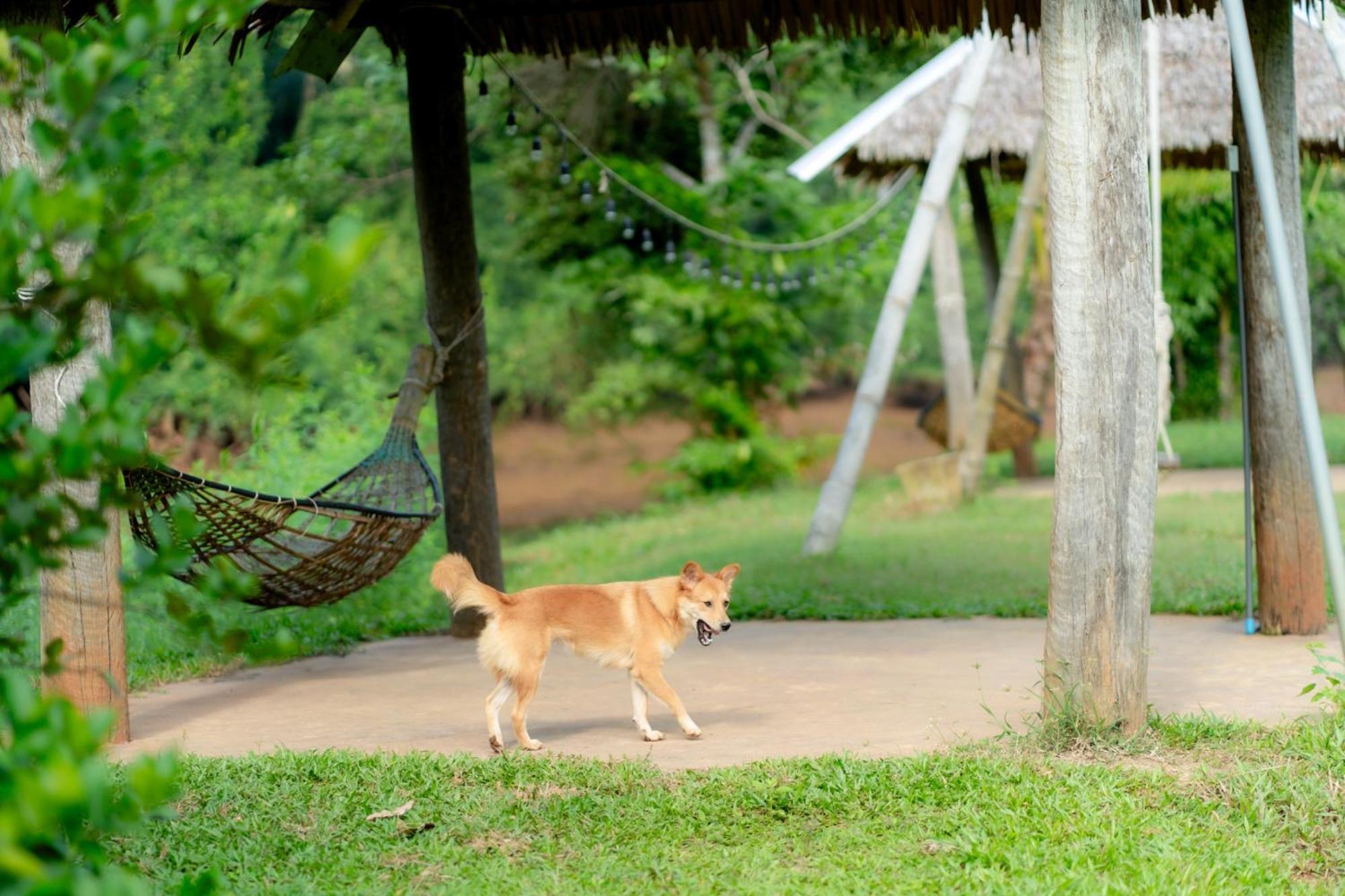 Chiewlan Camp And Resort Ban Pha Saeng Lang Extérieur photo